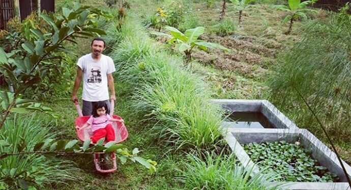 Urban Farming Bisa Menjadi Solusi Pertanian yang Berkelanjutan