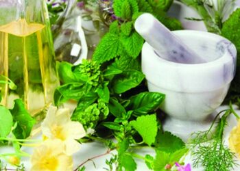 Herbal Jadi Alternatif Penjaga Kesehatan Milenial