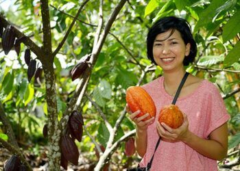 Omzet Penjual Cokelat dan Kartu Ucapan Melonjak Jelang Natal dan Tahun Baru