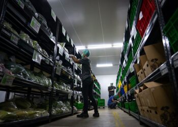 Pengguna Aplikasi TaniHub Lebih dari 200 Ribu