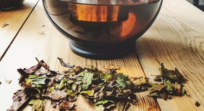 Teh Dakota, Inovasi Kreatif Lokal Yang Bermanfaat Bagi Kesehatan