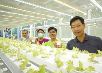 Startup Urban Farming Tunas Farm Beroleh Pendanaan Awal