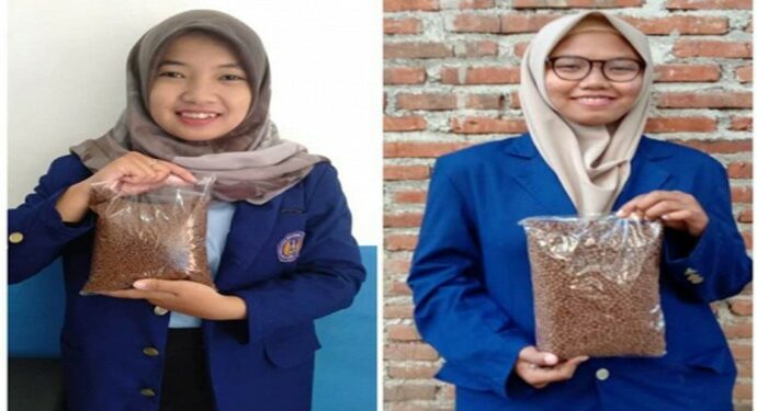 Inovasi Pakan Lele Alami dari Bahan Alami