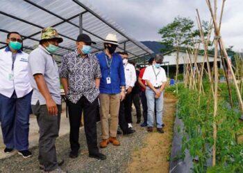 Smesco Hadirkan Innovator Bisnis Berbasis Tanaman Di Kampus Kebun Loka Hejo