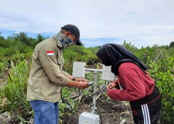 FotoSensor IoT di area Konservasi Laskar Taman Nasional Mangrove Park Bontang