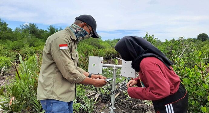 FotoSensor IoT di area Konservasi Laskar Taman Nasional Mangrove Park Bontang
