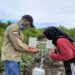 FotoSensor IoT di area Konservasi Laskar Taman Nasional Mangrove Park Bontang