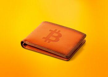 crypto-wallet