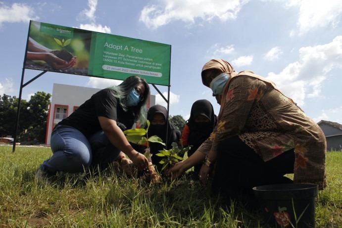 program ‘Adopt a Tree’