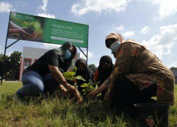 program ‘Adopt a Tree’