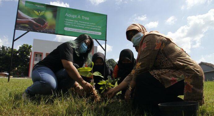 program ‘Adopt a Tree’