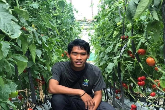 I Dewa Gede Agung Wiradipta