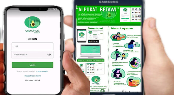 Alpukat Betawi