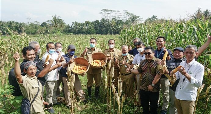 Teknologi untuk digitalisasi petani