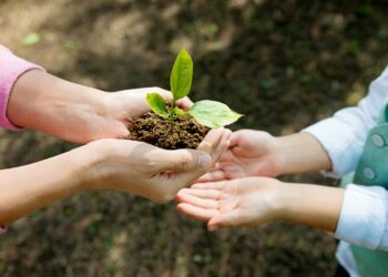 dampak sosial berkelanjutan