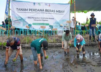 Pandawa Agri Indonesia x Rabo Foundation