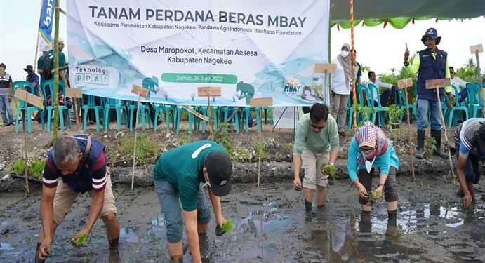 Pandawa Agri Indonesia x Rabo Foundation