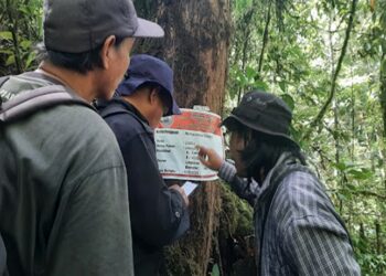 Proyek Konservasi Hutan di Bengkulu