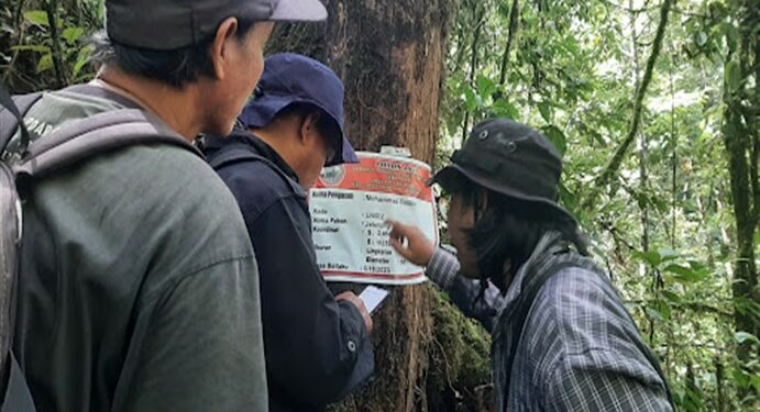 Proyek Konservasi Hutan di Bengkulu