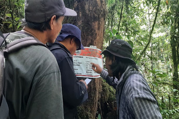 Proyek Konservasi Hutan di Bengkulu