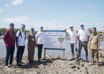 Amartha Hutan Mangrove