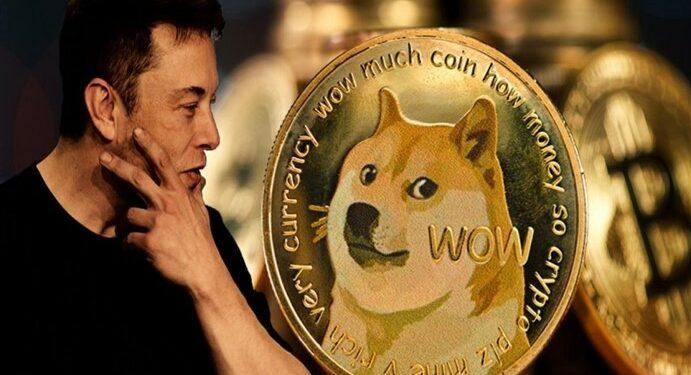 Kripto DOGE