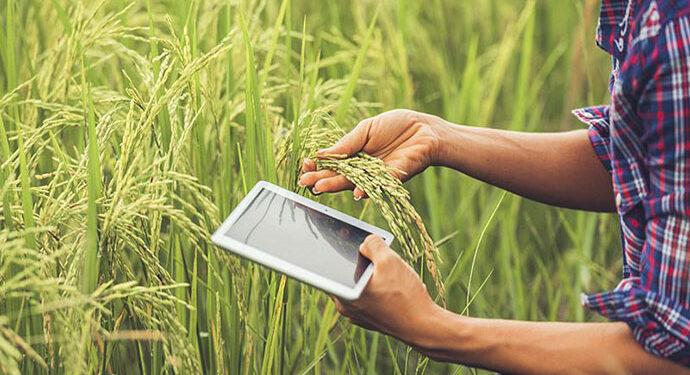 digital farming