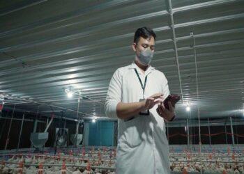 Smart Poultry Antares