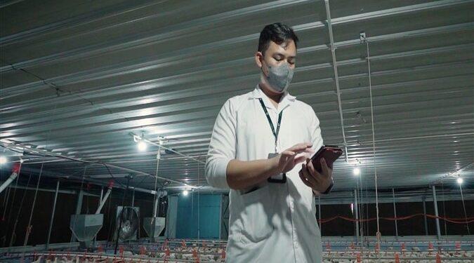 Smart Poultry Antares