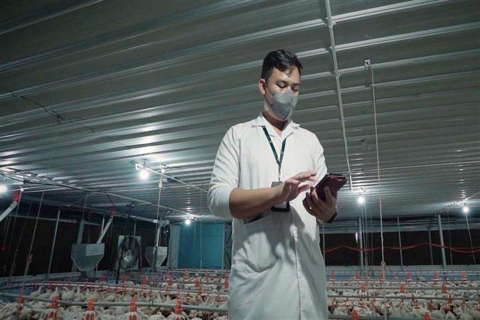 Smart Poultry Antares