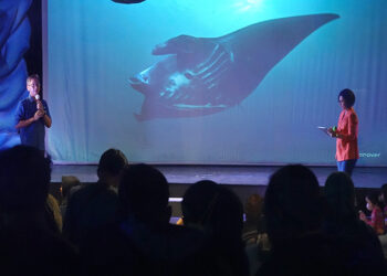 Keep Our Oceans Amazing