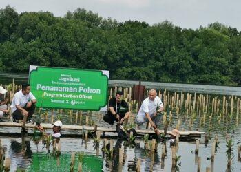 Telkomsel Carbon Offset