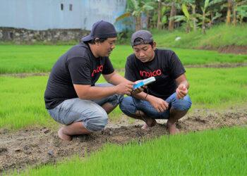 INDICO Digital Contract Farming