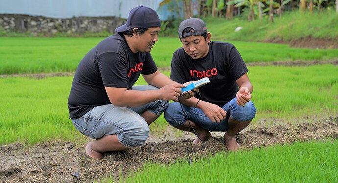 INDICO Digital Contract Farming