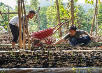 Organisasi Alam Sehat Lestari (ASRI)