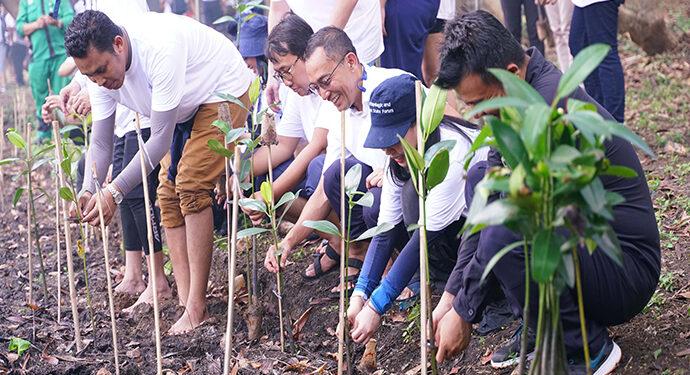 Lazada Penanaman Mangrove