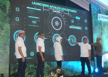 Aplikasi Socio Forest