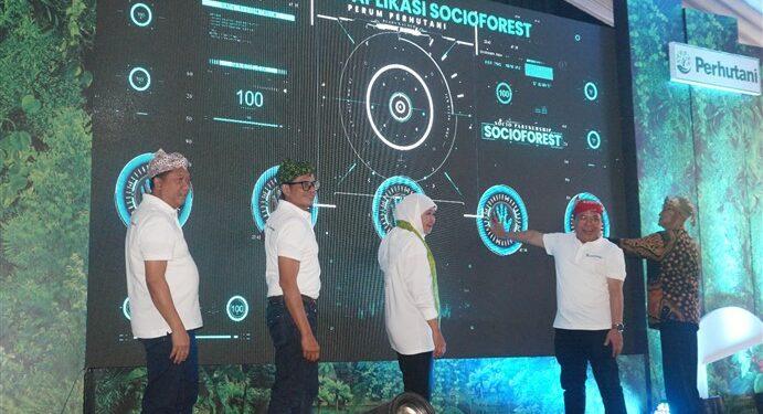 Aplikasi Socio Forest