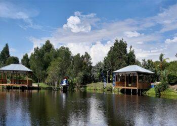 Desa Wisata Kreatif Terong