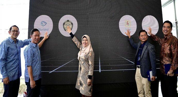 Panel surya Bluebird