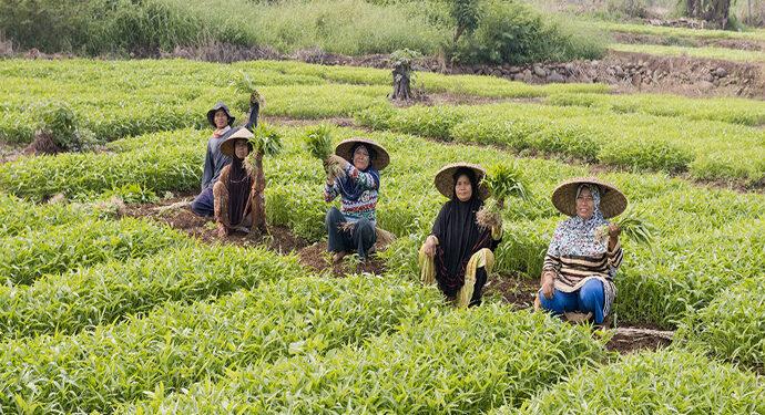 fasilitas kredit bagi petani