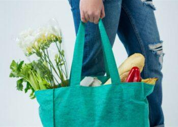 Gaya hidup ramah lingkungan