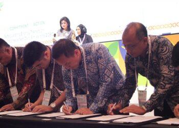 Xurya x PLN Icon Plus