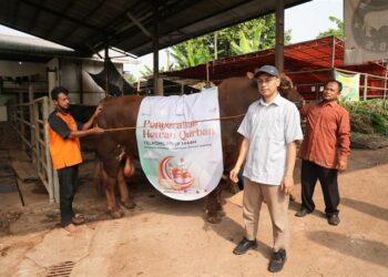 hewan kurban TelkomGroup