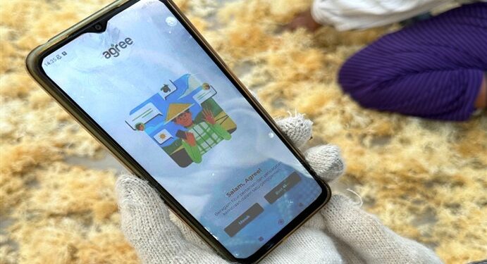 Platform Agree - budi daya rumput laut NTT