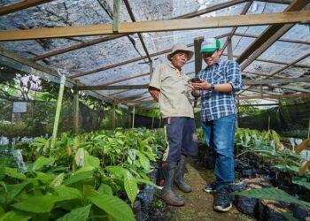 startup agritech Koltiva