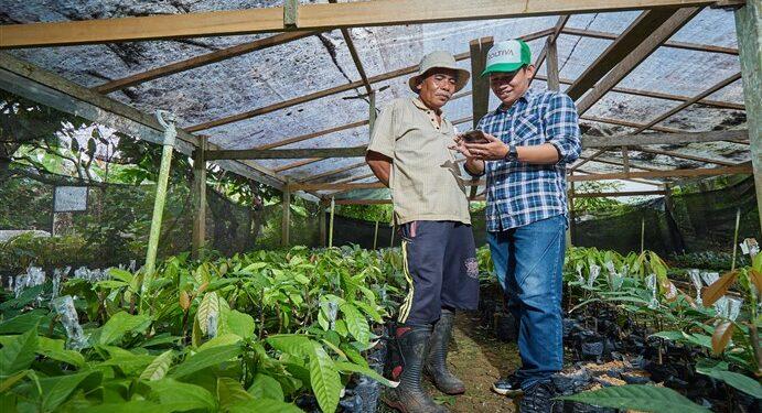 startup agritech Koltiva