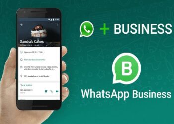 whatsaap business api