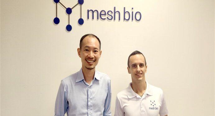 startup Mesh Bio