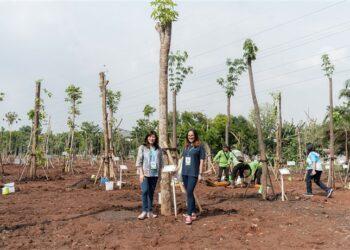 East Ventures sumbang pohon